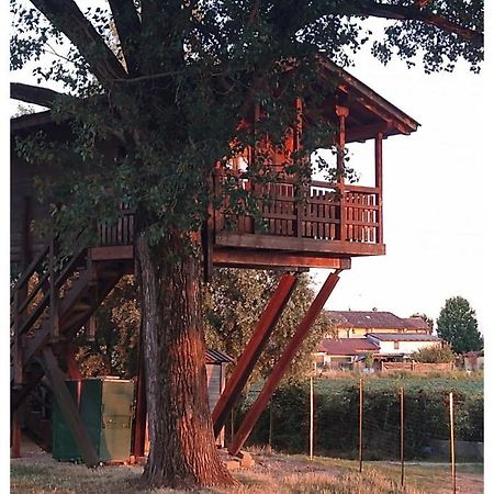 Willa La Casa Sull'Albero Oasi Certosa Di Pavia Borgarello Zewnętrze zdjęcie