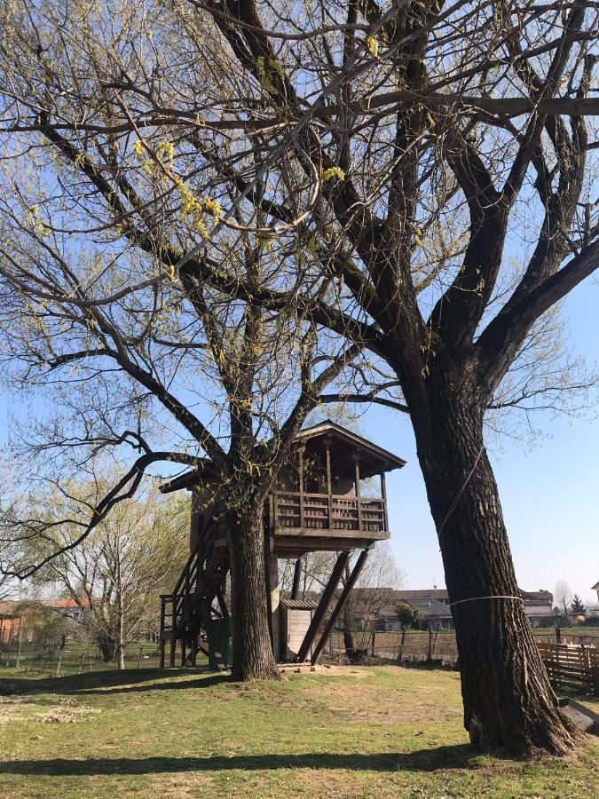 Willa La Casa Sull'Albero Oasi Certosa Di Pavia Borgarello Zewnętrze zdjęcie