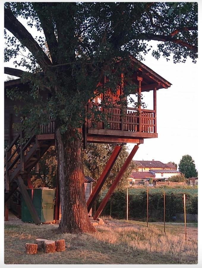 Willa La Casa Sull'Albero Oasi Certosa Di Pavia Borgarello Zewnętrze zdjęcie