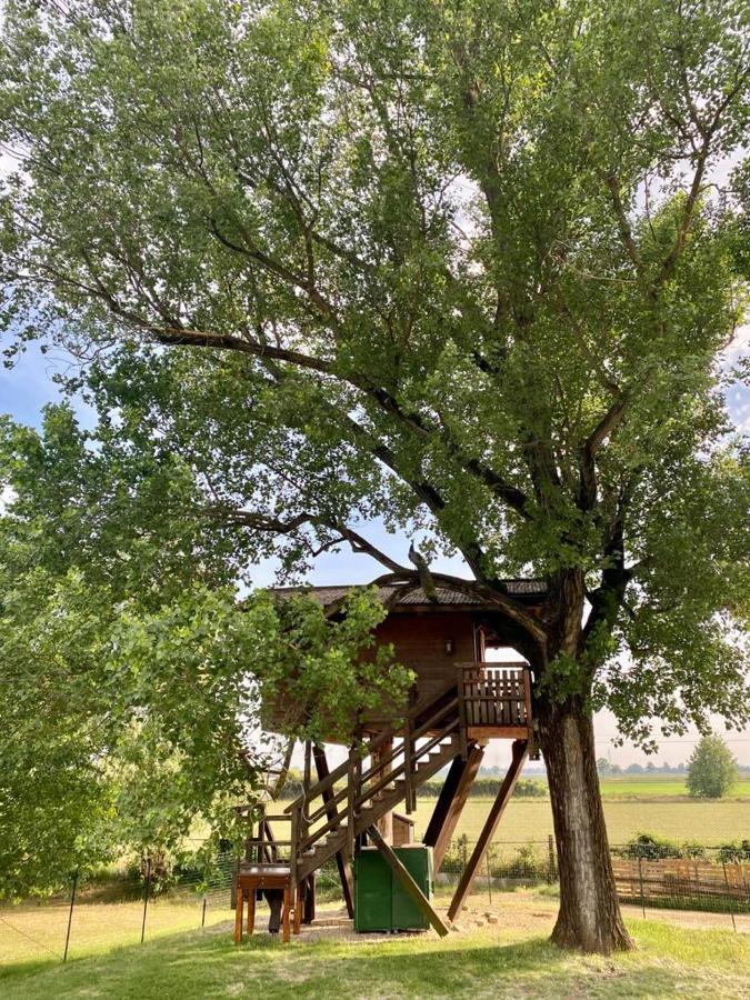 Willa La Casa Sull'Albero Oasi Certosa Di Pavia Borgarello Zewnętrze zdjęcie