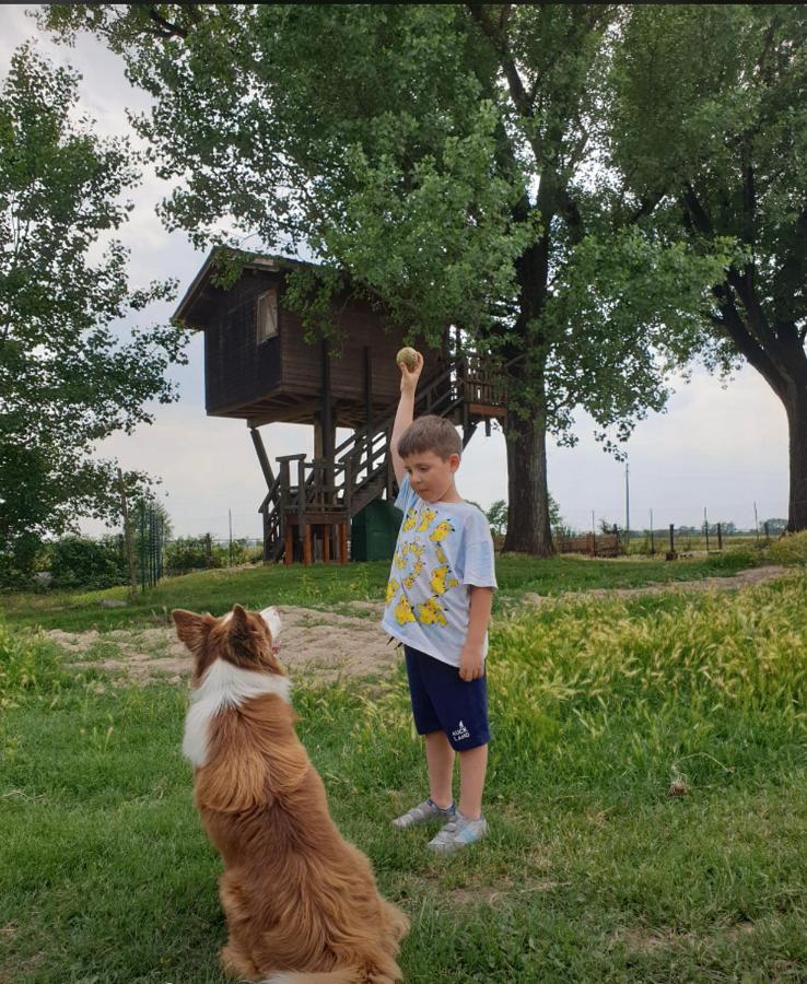 Willa La Casa Sull'Albero Oasi Certosa Di Pavia Borgarello Zewnętrze zdjęcie