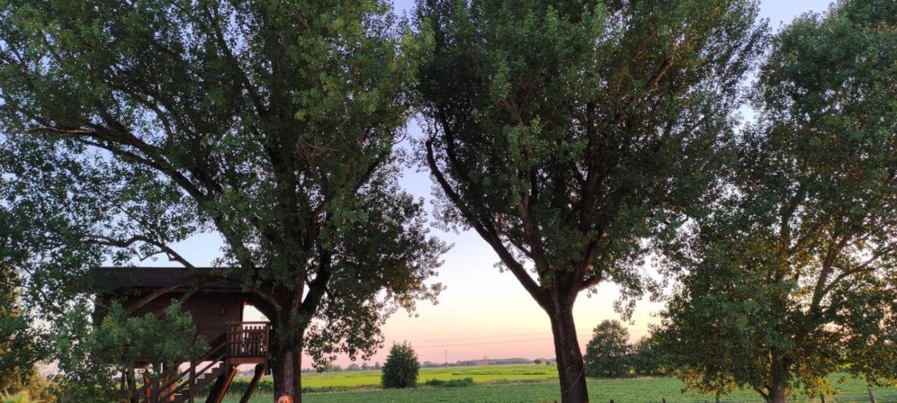 Willa La Casa Sull'Albero Oasi Certosa Di Pavia Borgarello Zewnętrze zdjęcie