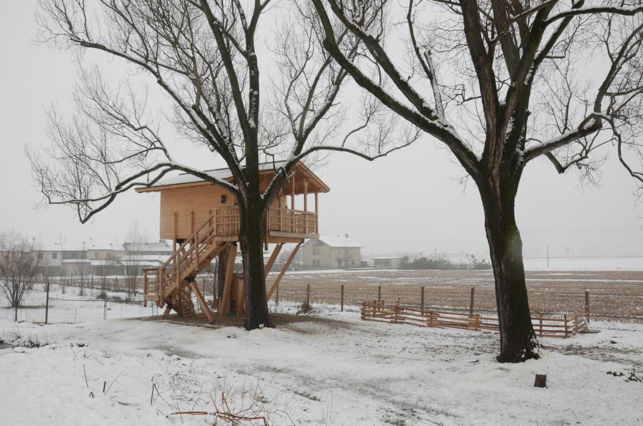 Willa La Casa Sull'Albero Oasi Certosa Di Pavia Borgarello Zewnętrze zdjęcie