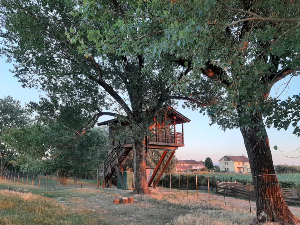 Willa La Casa Sull'Albero Oasi Certosa Di Pavia Borgarello Zewnętrze zdjęcie