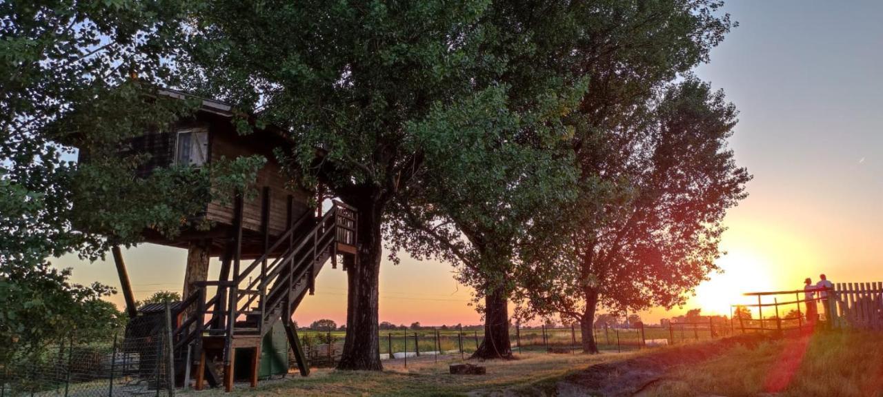 Willa La Casa Sull'Albero Oasi Certosa Di Pavia Borgarello Zewnętrze zdjęcie